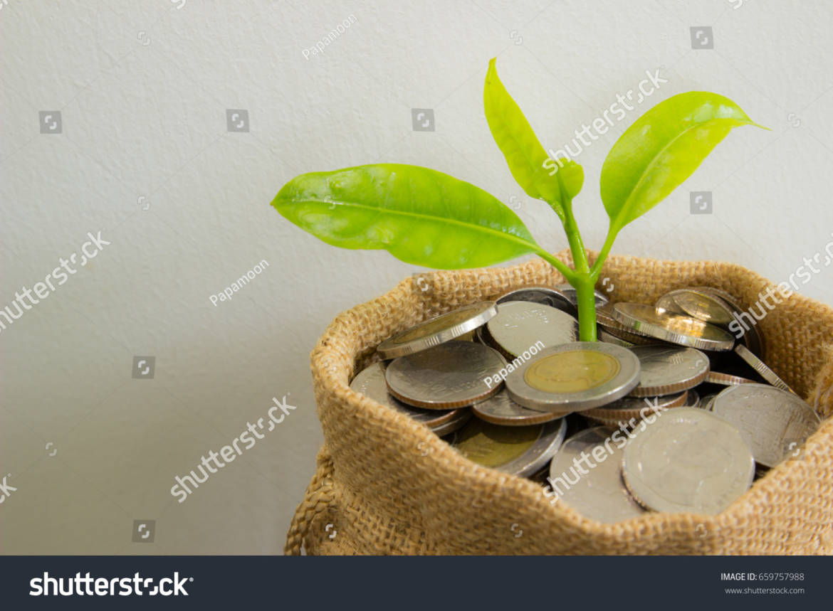 stock-photo-coins-in-sack-and-plant-glowing-in-savings-coins-show-stock-asset-investment-retirement-plan-659757988.jpg